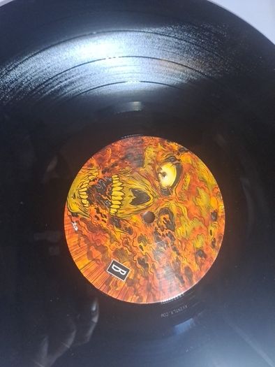 Vinyl.bonegnawers.