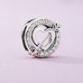 Pandora Reflexions charm Image 9