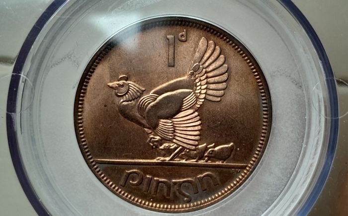 Proof Ireland 1d Penny 1968 Very Scarce in this Grade and colour