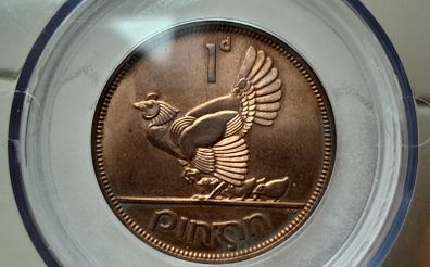 Proof Ireland 1d Penny 1968 Very Scarce in this Grade and colour
