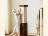 main image for ad Cat scratching post, scratching column, scratching trunk made of natural sisal rope, scratching post with plush toy ball, scratch protection for furniture, 73 cm high, vintage brown