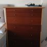 chest Image 3