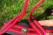 Medium Dog Harness