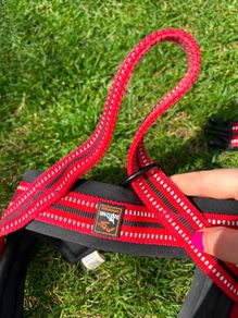 Medium Dog Harness