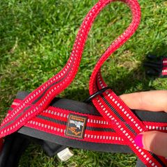 Medium Dog Harness