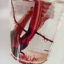 Philodendron Red Anderson Image 10