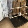 bird cage Image 4
