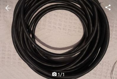 10m Dvi