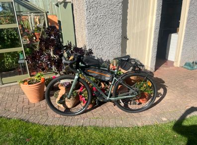 Giant Revolt 1 Gravel bike in excellent condition