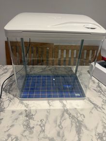 Fish tank free to collect