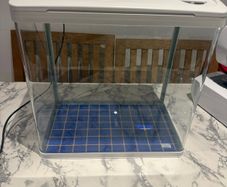 Fish tank free to collect