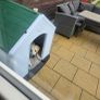 Dog kennel Image 4