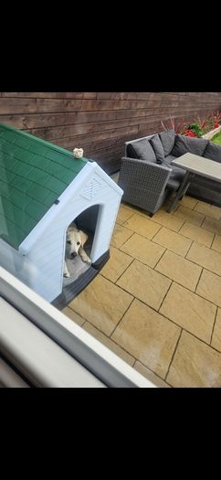 Dog kennel