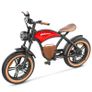 Hidoes B10 Electric Bike Image 2
