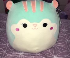 Squishmallow