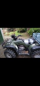 Stolen Quad atv