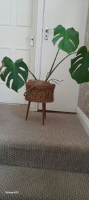 Vintage plant stand french