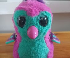 Hatchimal