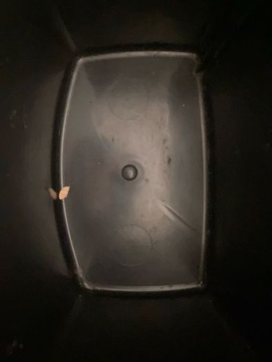FREE Shredder/Backup Bin