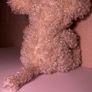 Teddy bear (soft toy) Image 4