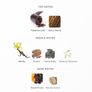 Tom Ford Tobacco Vanille Discovery Samples Image 5