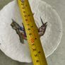 SET OF 2 HANGING PLATE Alfred Meakin Audubon Birds of America Teacup Saucer 5.75 Inches. Image 5