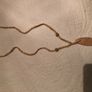 Jewellery -various necklace styles Image 10
