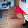 sofa Image 2