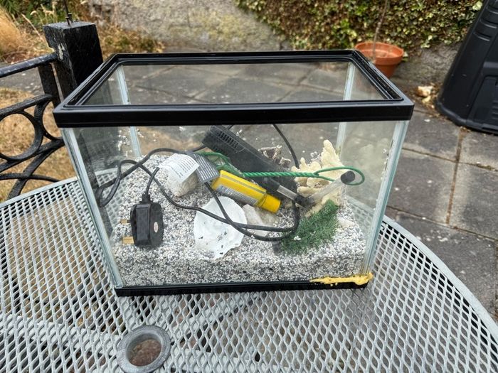 Small Fish Tank