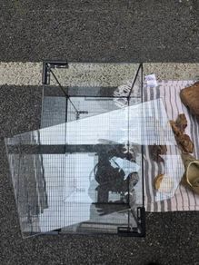 Reptile Vivarium Accessories Bundle