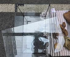 Reptile Vivarium Accessories Bundle