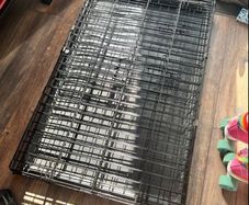 large dog crate