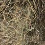 Hay round bales Image 4