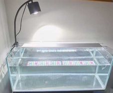 Optiwhite Aquarium/Fish Tank for sale