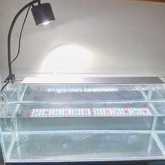 Optiwhite Aquarium/Fish Tank for sale