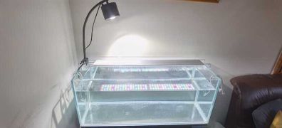 Optiwhite Aquarium/Fish Tank for sale