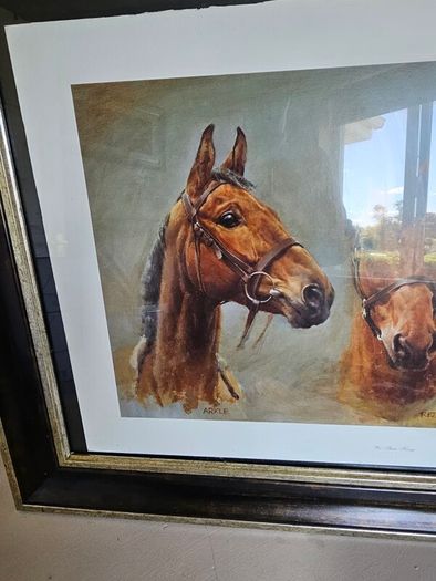 Trio of Racehorses