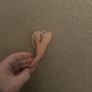 Fake nose Image 2