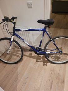 mens mountain bike