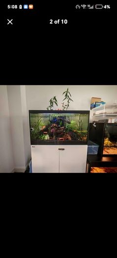 fish tank