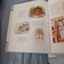Peter Rabbit Storytime - Tales from Beatrix Potter - Volumes  x 4. Image 9
