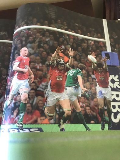 Ireland's Grand Slam 2009