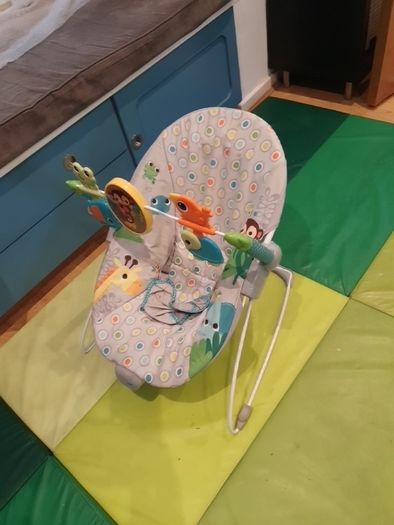 baby bouncer