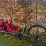 Weehoo Igo 2 Bike trailer Image 2