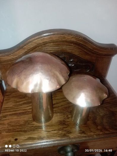 Arts & Crafts Brass & Copper Large Mushroom Shaped Salt & Pepper Shakers (Donegal, Makers Stamp)