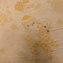 Vintage 70's Pram/Crib/Cot Sheet Image 2