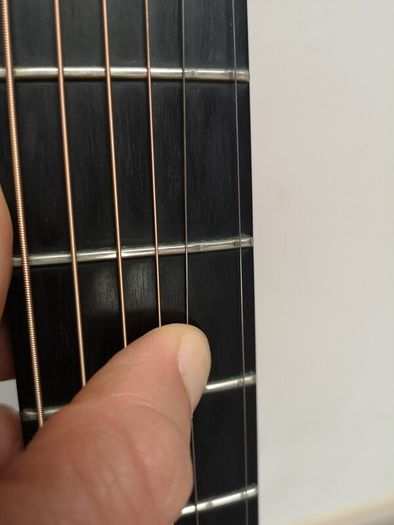 Lowden F12 LR Baggs Anthem
