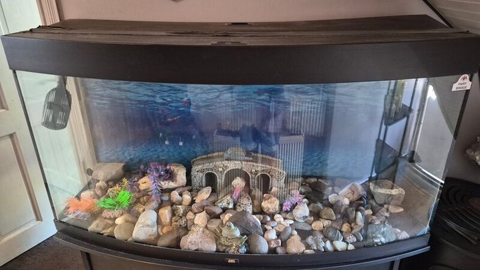aquarium