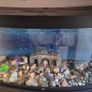 aquarium Image 4