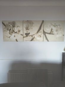 Three Picture Set